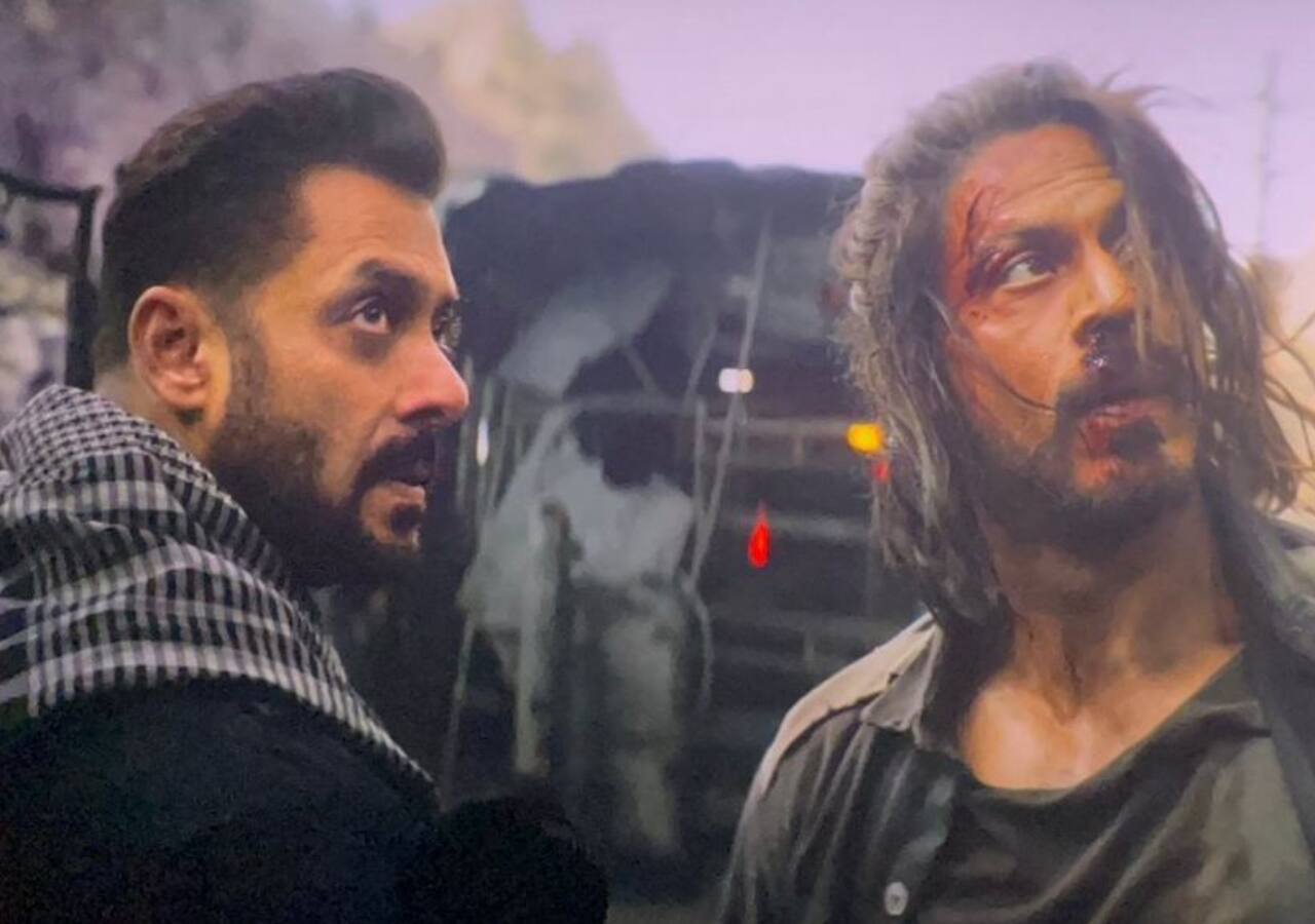 Tiger 3: ऑनस्क्रीन फिर साथ नजर आएंगी सलमान-शाहरुख की जोड़ी, टाइगर 3 की शूटिंग को लेकर आया बड़ा अपडेट