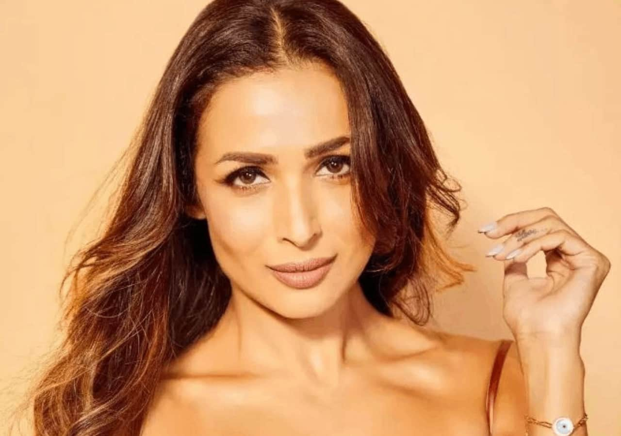 Malaika Arora's tryst with trolls: From her walking style to ageing - 7 ...