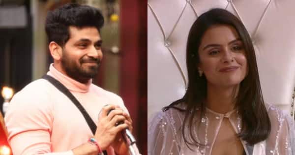 Bigg Boss 16: Priyanka Chahar Chaudhary and THESE contestants make it to TOP 3; while these two miss the race?