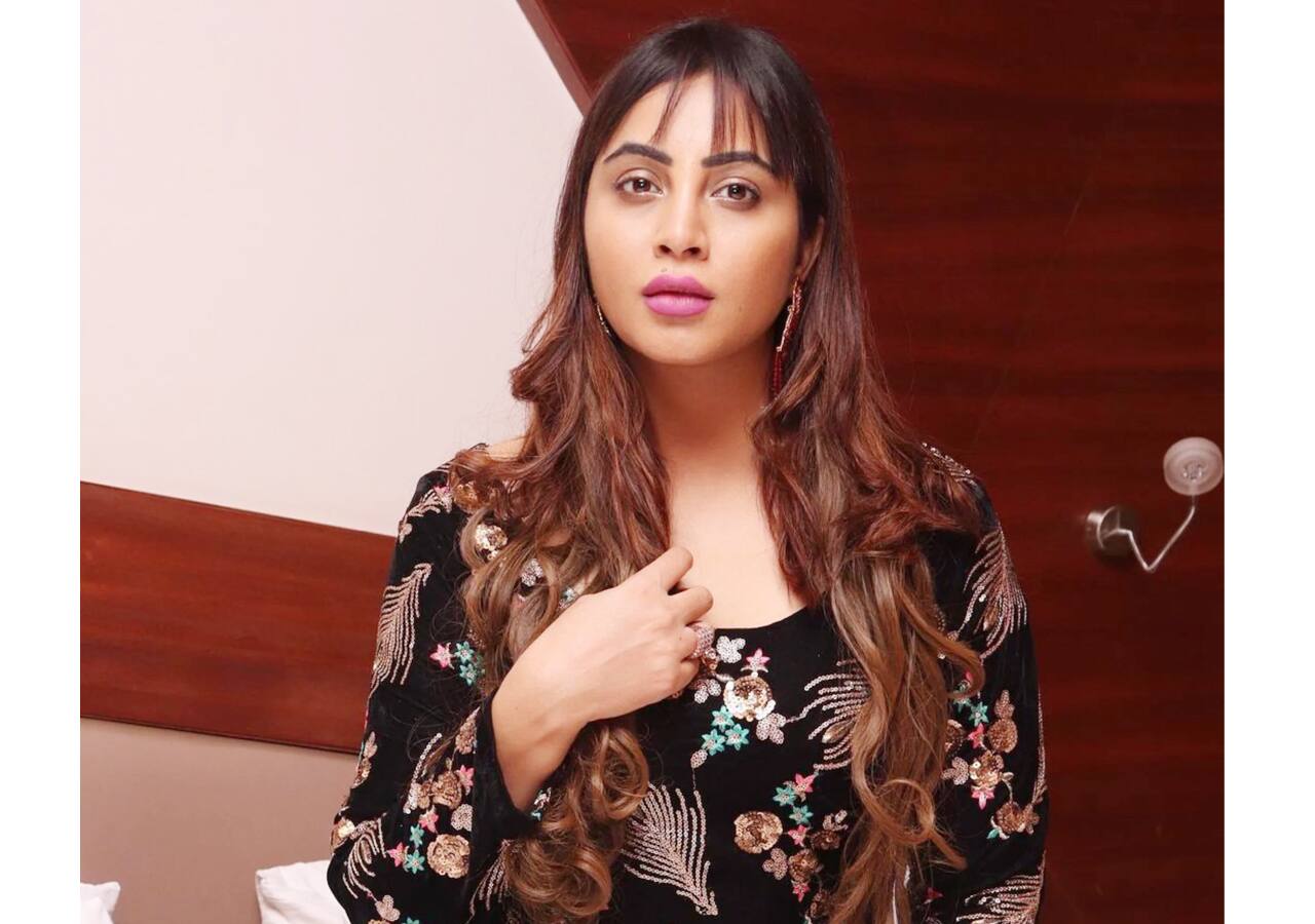 अर्शी खान (Arshi Khan)