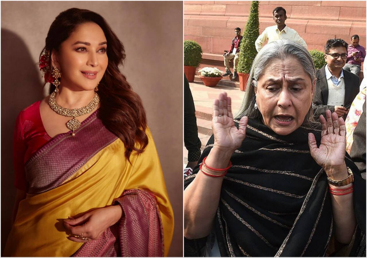 Madhuri Dixit को 'प्रॉस्टिट्यूट' बुलाने पर भड़कीं जया बच्चन, 'द बिग बैंग थ्योरी' के एक्टर को जमकर लताड़ा