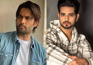 Vivian Dsena, Shakti Arora, Karan V Grover and other TV stars whose hush hush weddings made news