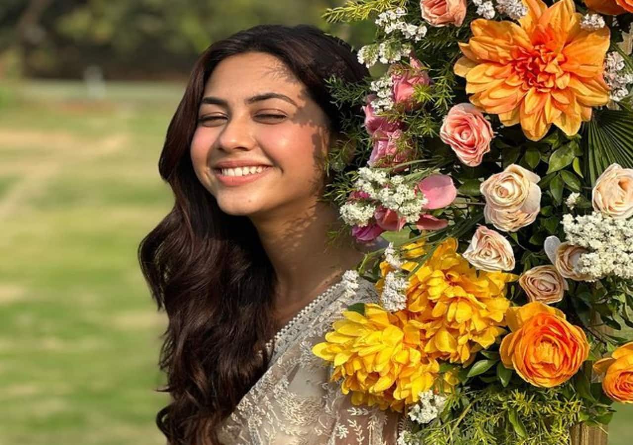 Tere Ishq Mein Ghayal actress Reem Shaikh gets trolled for her remark on feminism; netizens say, 'My brain cells have stopped working'
