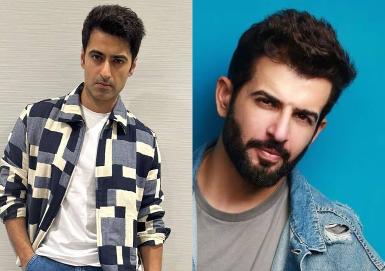 Ghum Hai Kisikey Pyaar Meiin's Harshad Arora to Jay Bhanushali; hunks making a comeback on TV