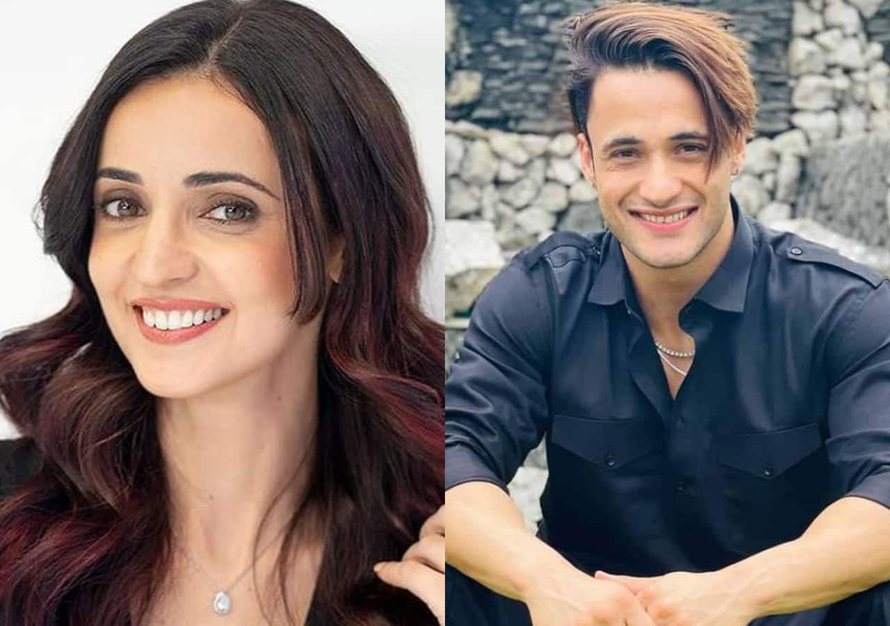 Khatron Ke Khiladi 13 contestants: Asim Riaz, Sanaya Irani, Prince ...