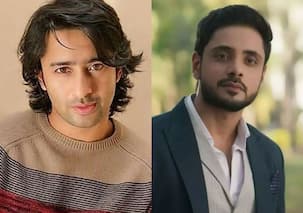 Katha Ankahee actor Adnan Khan, Shaheer Sheikh, Namik Paul and other TV stars who held regular jobs before embarking on acting career
