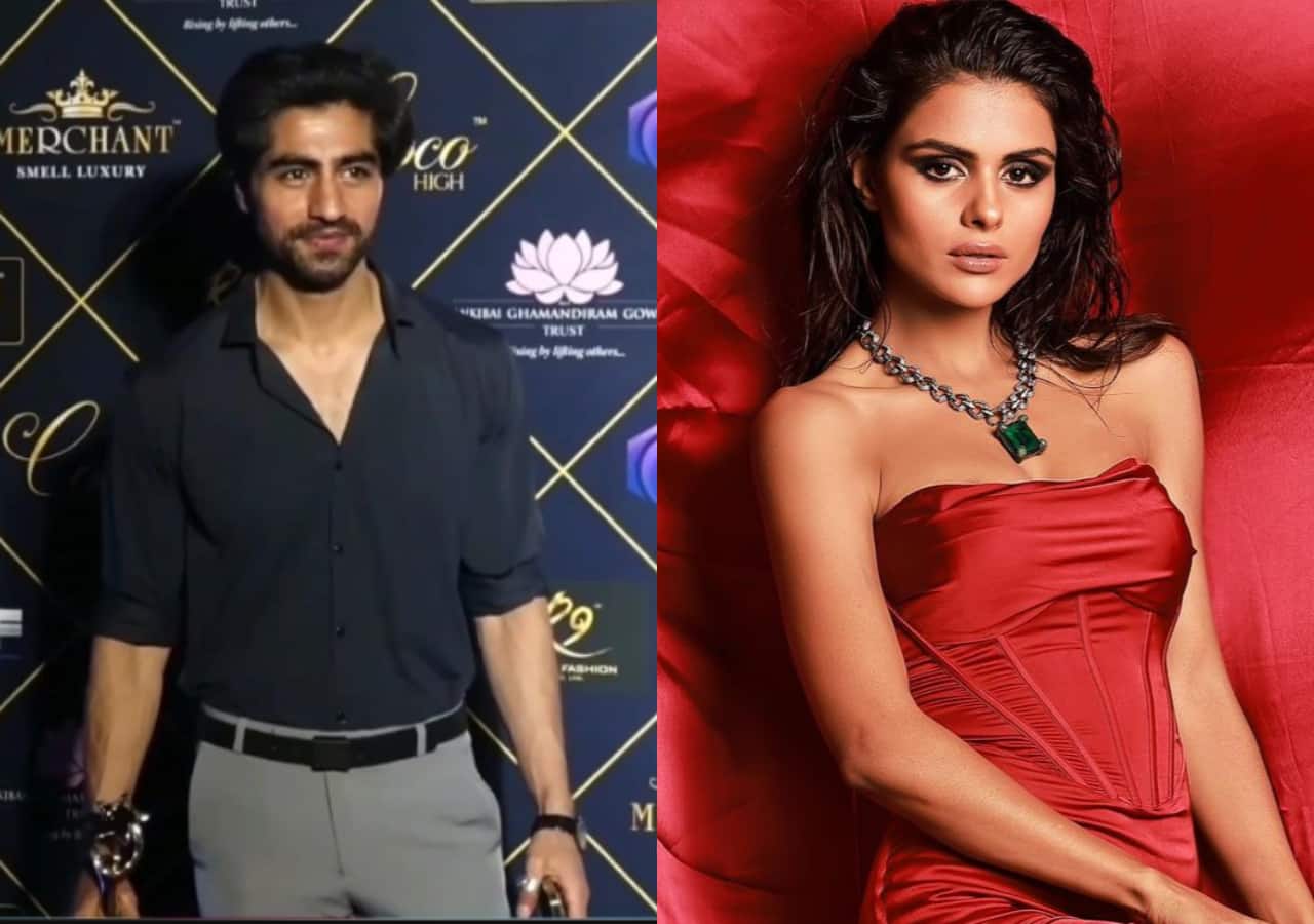 Sorry fans! Priyanka Chahar Choudhary and Harshad Chopda project not happening any time soon [Exclusive]