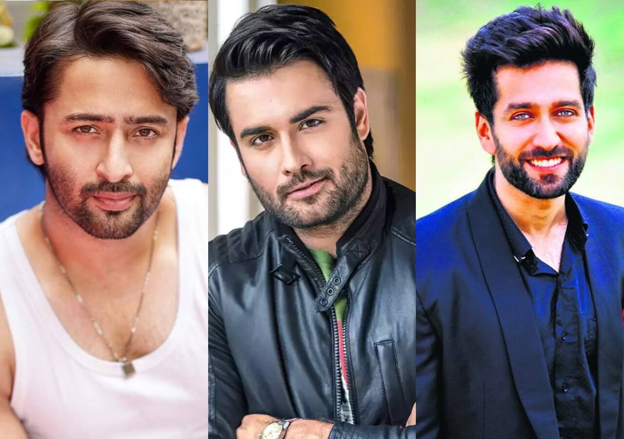 Vivian Dsena, Shaheer Sheikh, Nakuul Mehta and more TV hunks who were ...