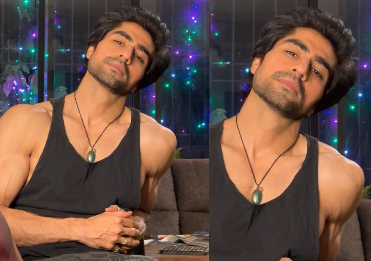Harshad Chopda's shirtless avatar sends fans into a tizzy 