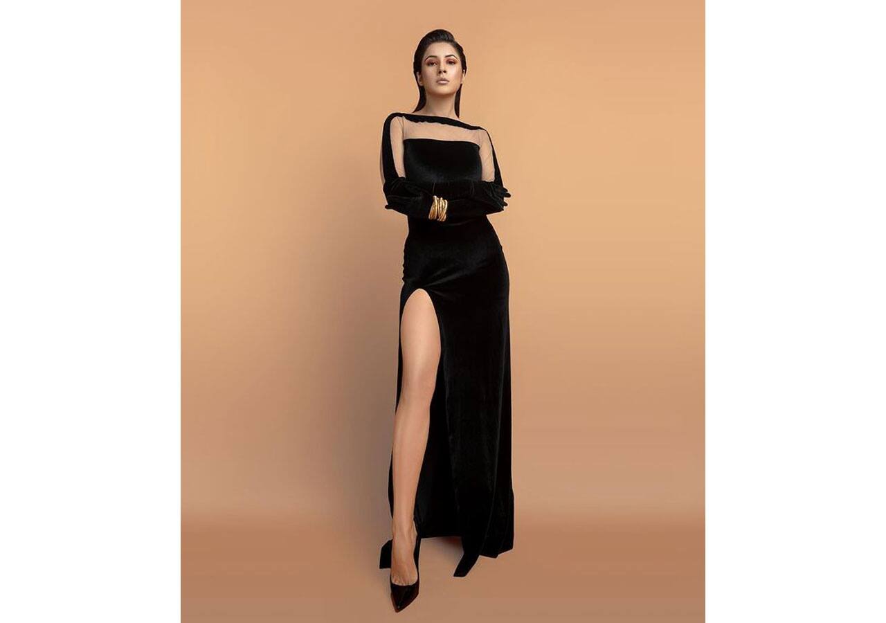 Shehnaaz Gill is owning it like a diva in this one.