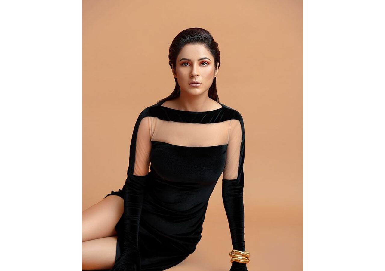 Shehnaaz Gill slays in this stunning sheer black velvet gown.
