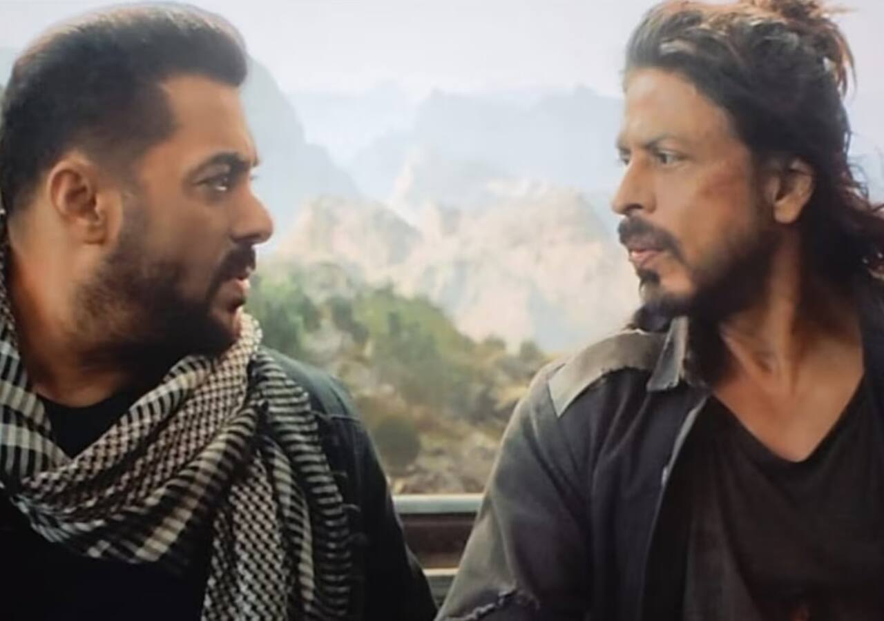 टाइगर 3 (Tiger 3)