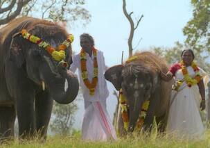 Oscar Award 2023: ऑस्कर में इंडिया ने लहाराया परचम, 'द एलिफेंट व्हिस्परर्स' को मिला बेस्ट शॉर्ट डॉक्यूमेंट्री अवॉर्ड