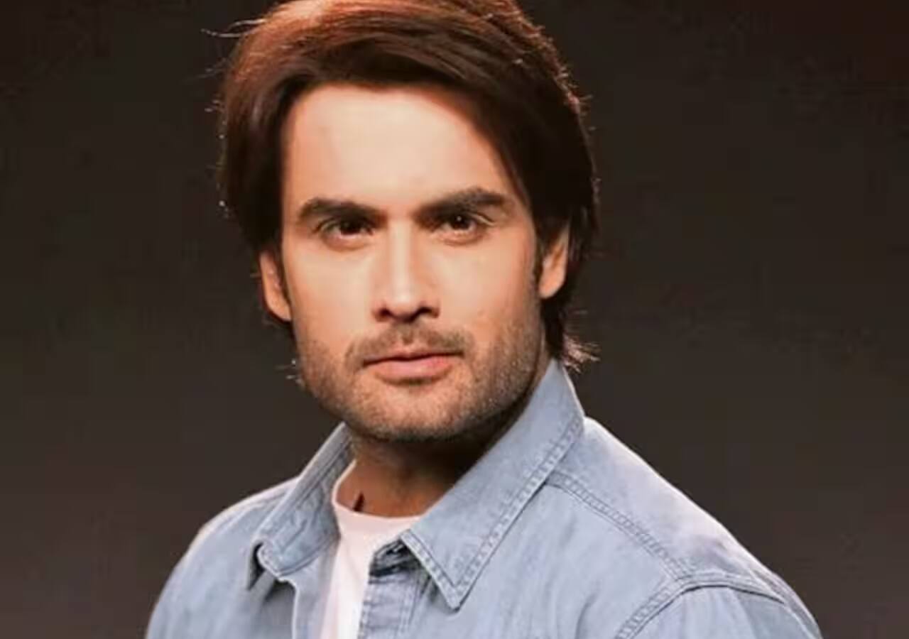 Vivian Dsena CONFIRMS reports of having a four-month-old daughter with wife Nouran Aly; questions, 'how is it anyone's concern'