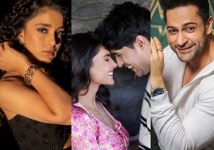 Bigg Boss 16 के बाद इन कंटेस्टेंट्स के हाथ लगी लॉटरी, शो खत्म होते ही झटपट शुरू किया बड़े प्रोजेक्ट्स पर काम