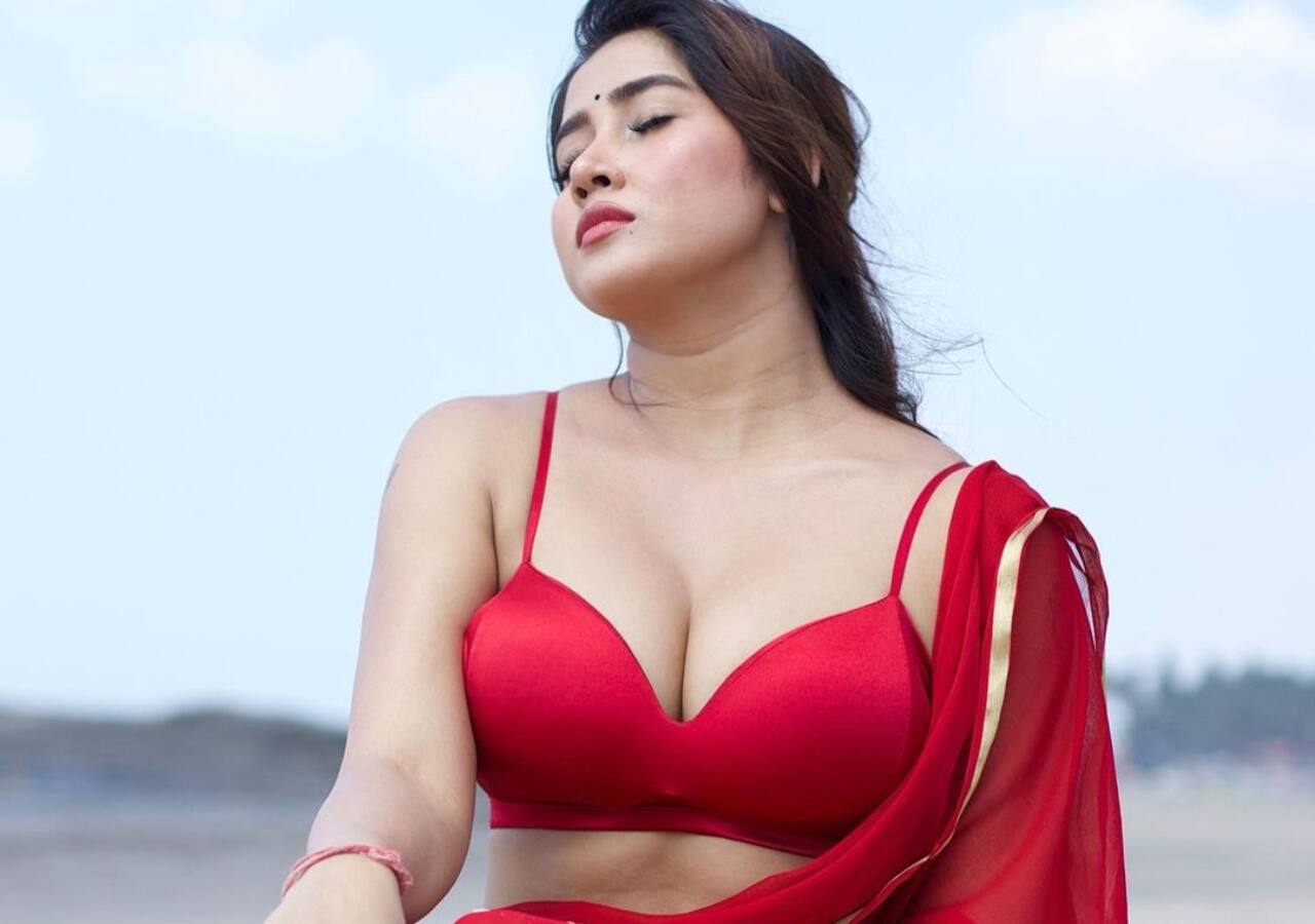 सोफिया अंसारी की डीपनेक