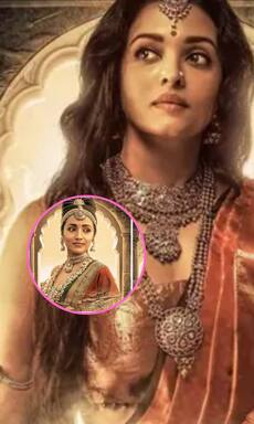 PS 2 star casts' educational qualifications