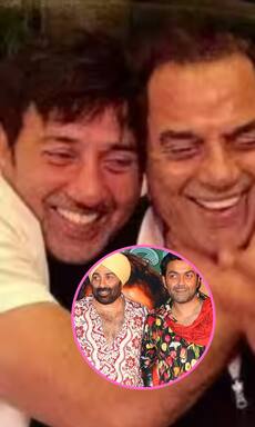 Gadar 2 star Sunny Deol, Esha Deol and more family members' educational qualifications