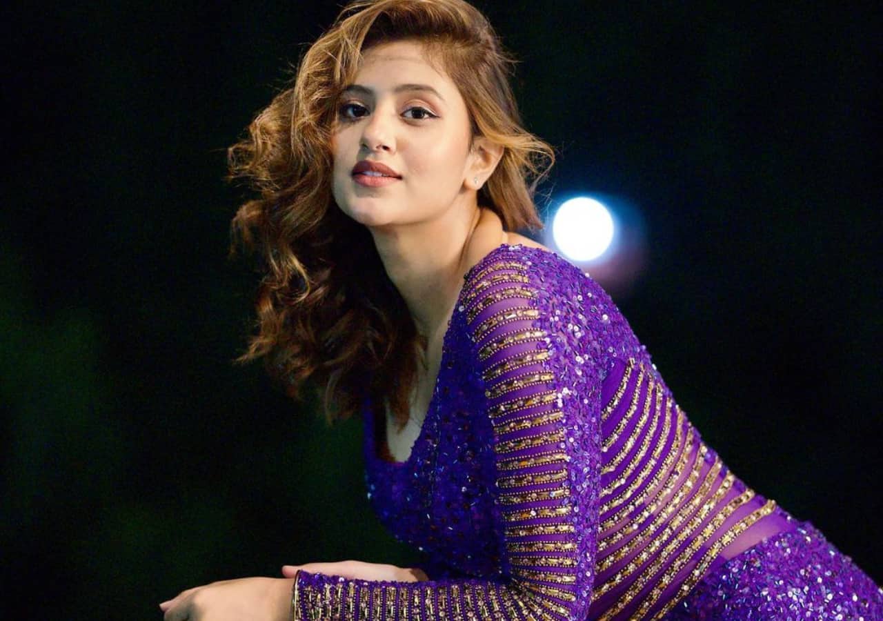 Anjali Arora, Akshara singh And These Celebs 'MMS' were leaked, videos