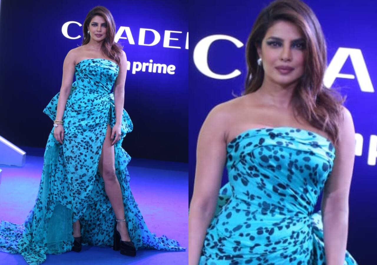 Citadel Blue Carpet: Priyanka Chopra Stuns In A Printed Gown; Co-star ...