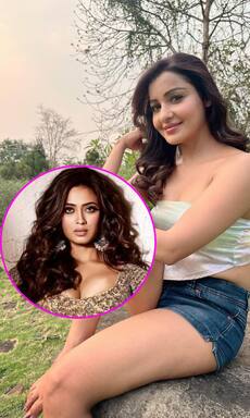 भोजपुरी फिल्मों में बोल्डनेस दिखा चुकी हैं ये TV हसीनाएं