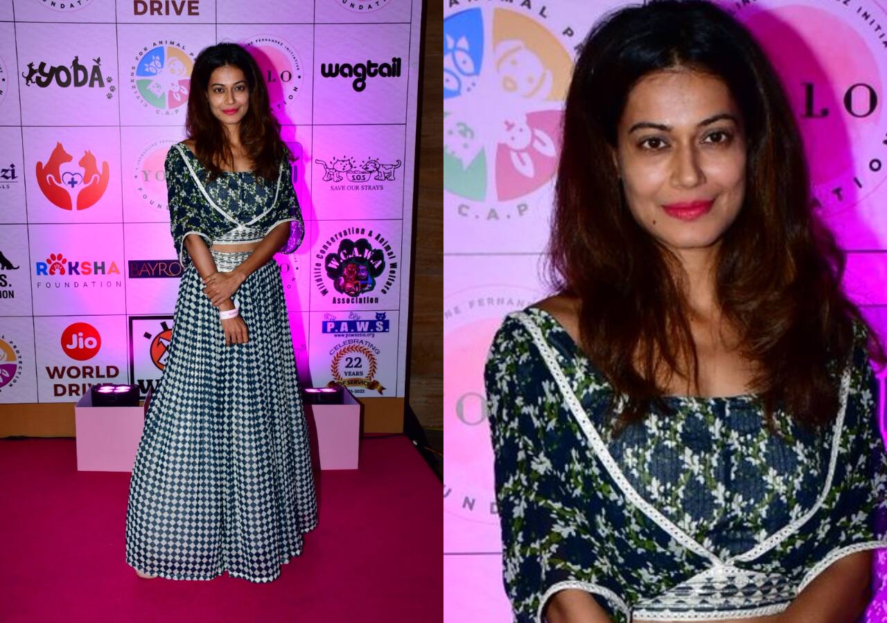 Payal Rohatgi