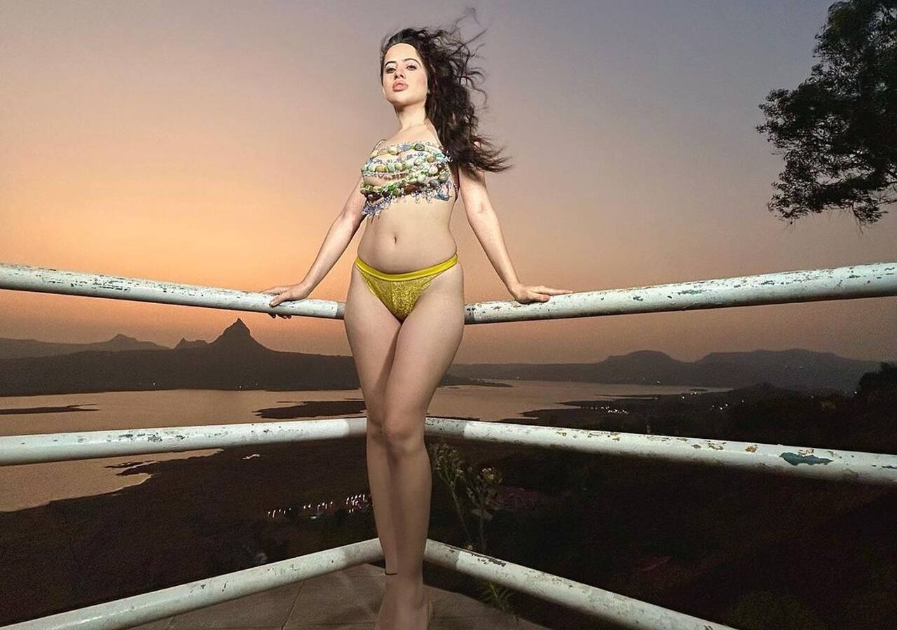 Urfi Javed gives a sexy stare in front of the cameras.
