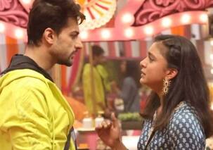 Bigg Boss 16 star Shalin Bhanot has an interesting idea for a show with Sumbul Touqeer Khan; says, 'We will have a beautiful...'