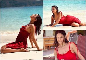 Shehnaaz Gill ने समंदर में लगाए गोते, भीगे बदन खिंचवाई दिलकश तस्वीरें