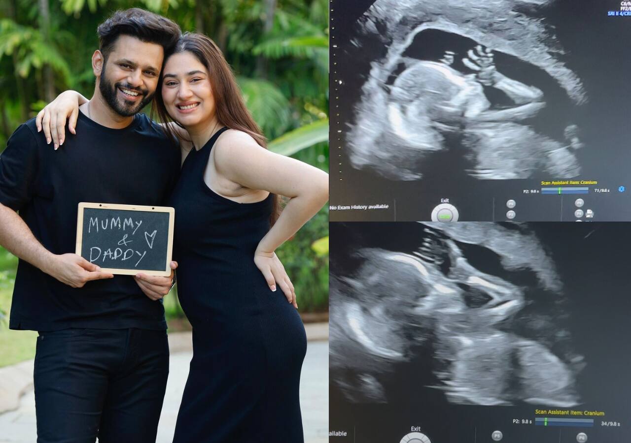 Disha Parmar-Rahul Vaidya announce pregnancy