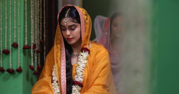 Adah Sharma film rocked the box office on the 7th day, see figures - अदा शर्मा की फिल्म ने बॉक्स ऑफिस पर 7वें दिन मचाया धमाल, देखें आंकड़े