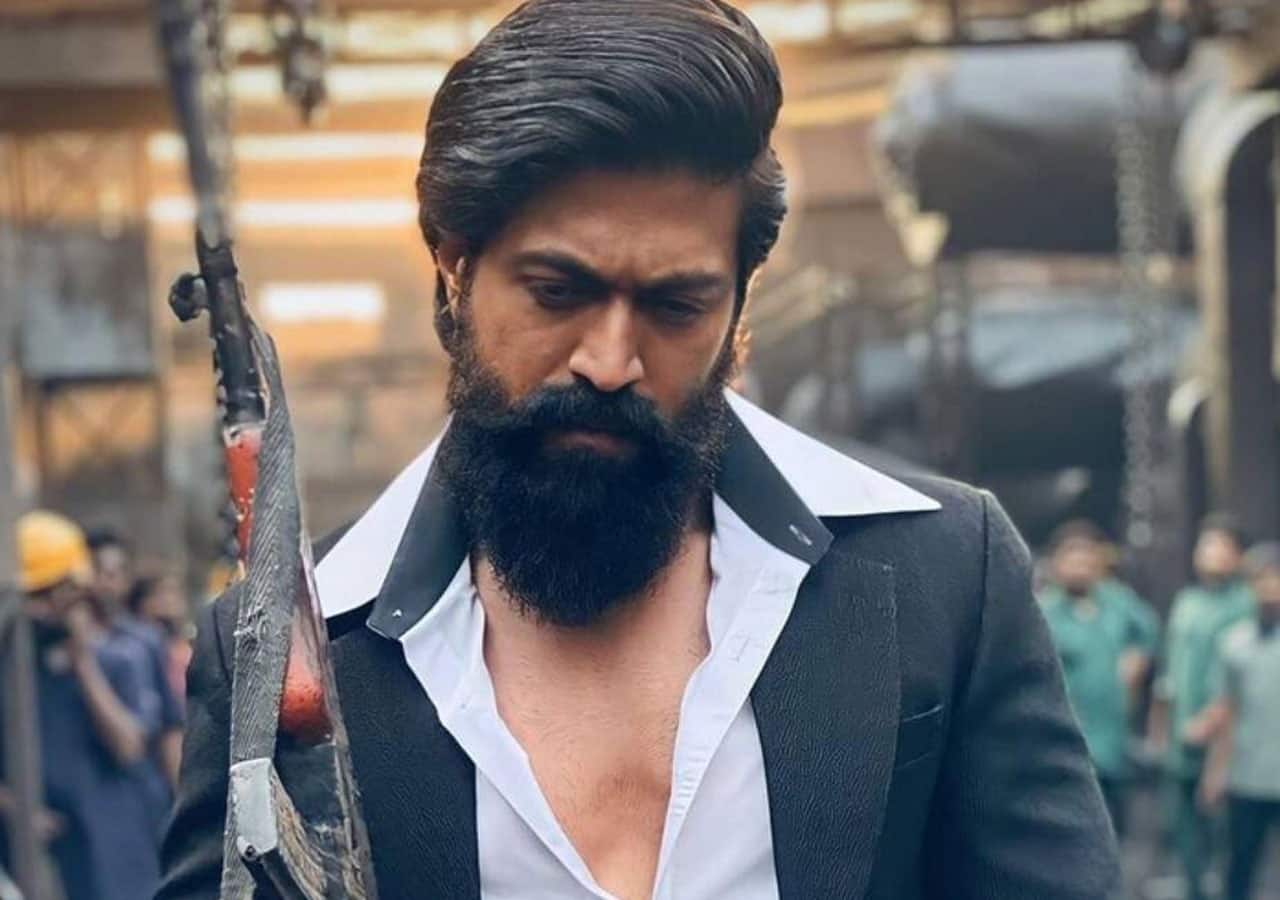 Raveena KGF | Raveena Tandon reveals her role in KGF: Chapter 2 has shades  of grey; calls co-star Yash a 'gem'