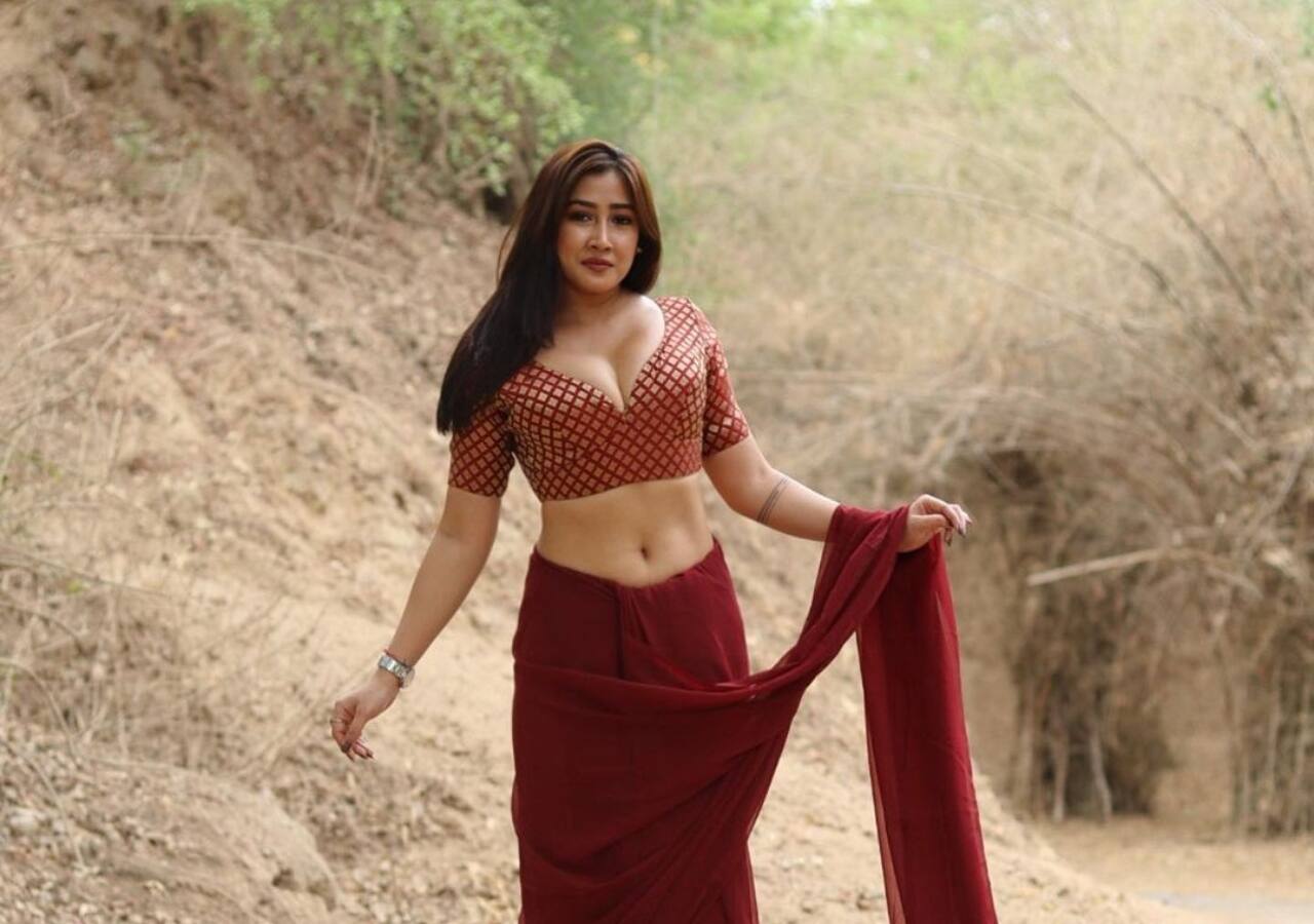 साड़ी लुक में कहर बरपाती हैं सोफिया