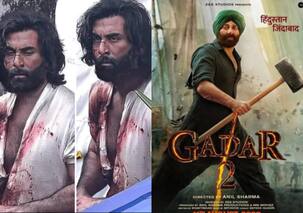 Animal: Will Ranbir Kapoor film get postponed due to OMG 2 Vs Gadar 2 box office clash?