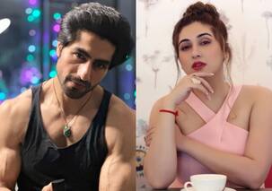 Yeh Rishta Kya Kehlata Hai star Harshad Chopda fans wonder if he ever dated Vahbiz Dorabjee as old pics resurface