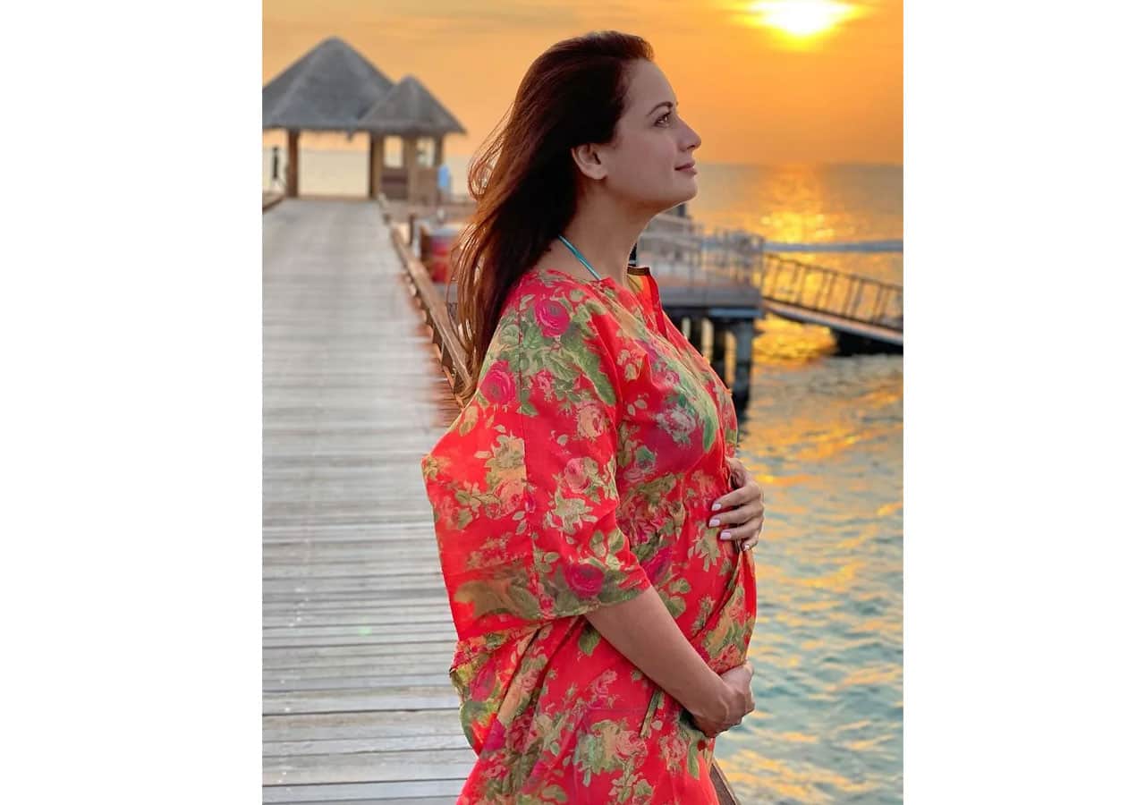 Dia Mirza shared about being pregnant soon after marriage.