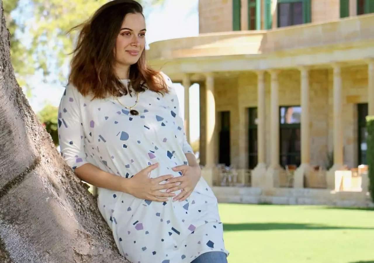 Evelyn Sharma too shared pregnancy news within months of her marraige