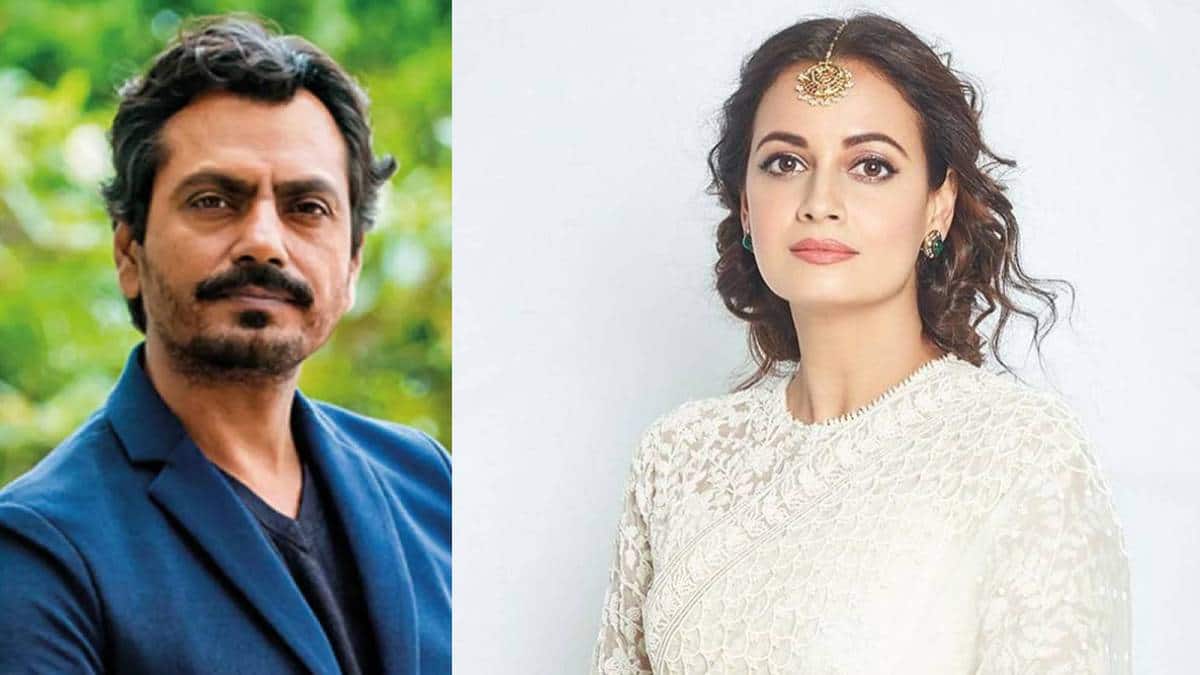 From junior artists to stars: these celebs prove talent and hard work never goes unnoticed - Vimarsana News