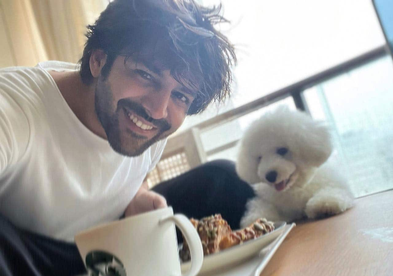 Inside Satyaprem Ki Katha star Kartik Aaryan's chic and comfy house