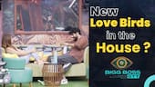 Bigg Boss 16: MC Stan gets HUGE support as artistes from Badshah to Emiway  Bantai urge fans to vote for him