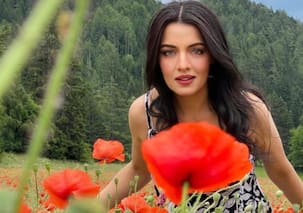 Celina Jaitly's image got tried to tarnish by a Pakistani critic, Actress took action against him: Checkout the whole matter