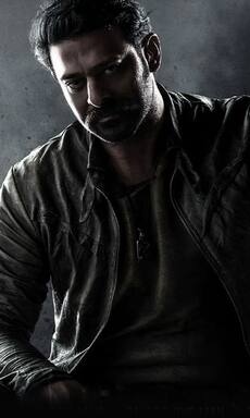 Before Salaar, Animal, Top 10 most violent Indian movies with lots of blood and gore