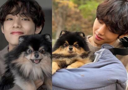 BTS: V aka Kim Taehyung to drop solo album Layover in September, pet dog  Yeontan stars in posters