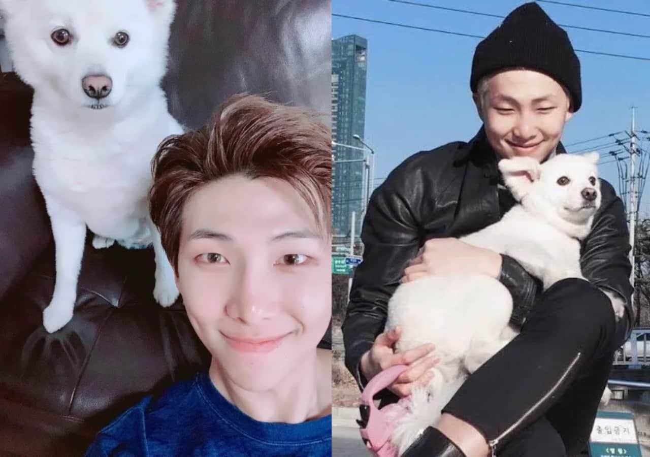 BTS leader Kim Namjoon aka RM reveals his pet Moni is no more; BTS ARMY mourns his demise 