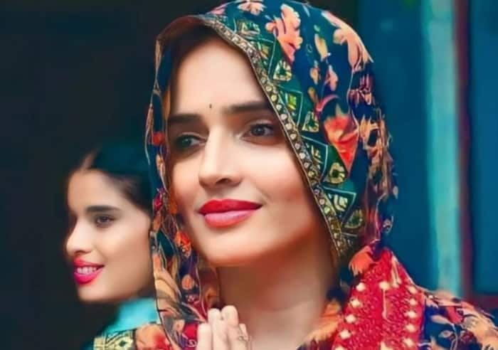 सीमा हैदर को मिला फिल्म करने का ऑफर