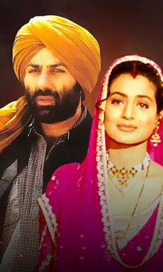 Sunny Deol in Gadar 2, Shahid Kapoor in Kabir Singh, celebs who played violent lovers onscreen