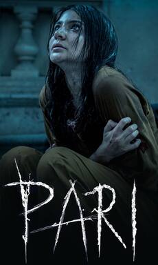 Top 10 Indian horror movies to watch on OTT for a nerve freezing experience