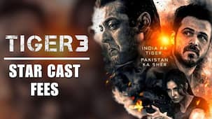 Tiger 3 star cast fee: Here's how much Salman Khan, Katrina Kaif and others charged for the film
