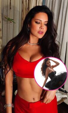 Esha Gupta to Disha Patani, when Bollywood sirens left fans gasping for breath