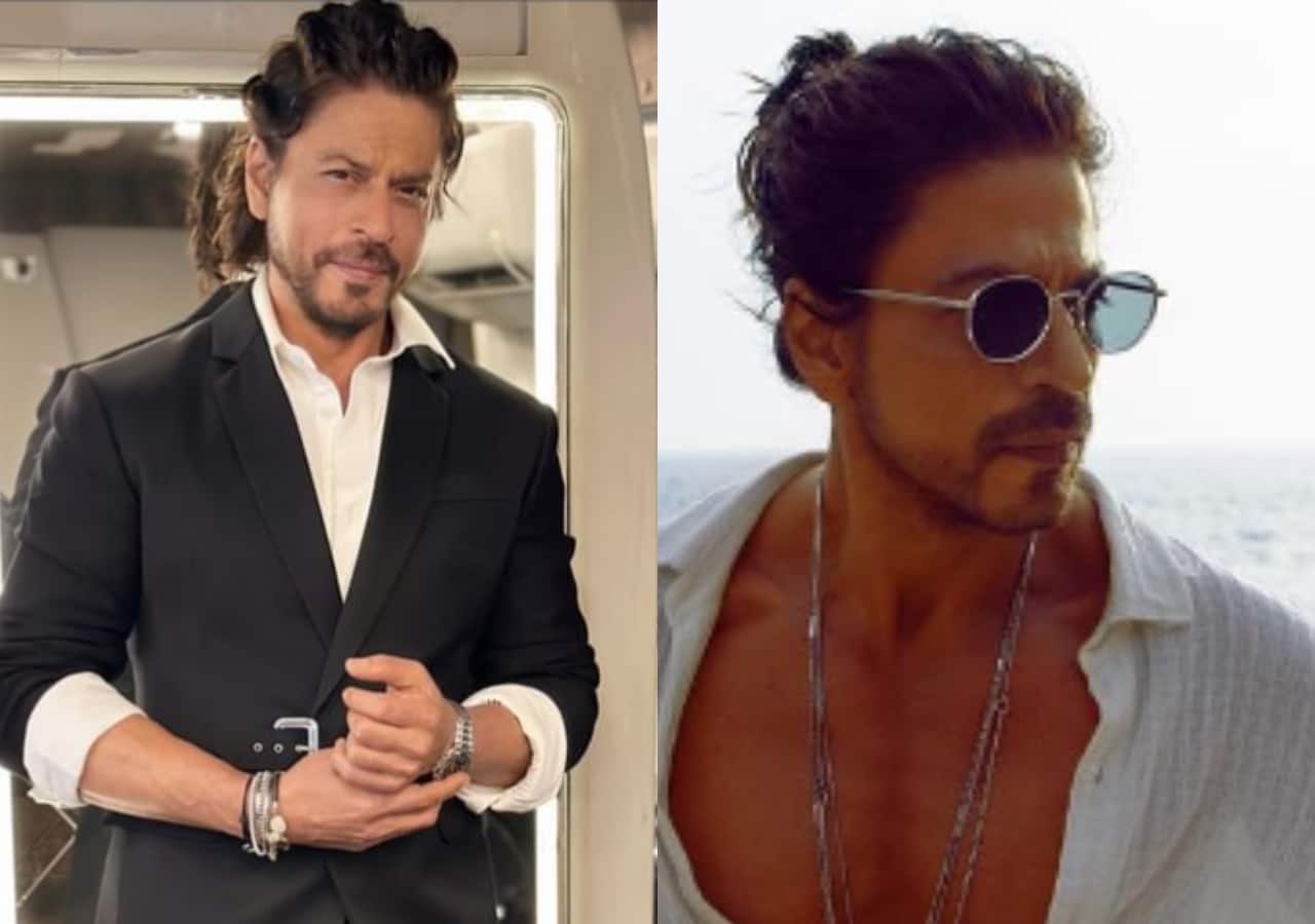 Ahead Of 'Pathaan' Release, Fan Asks Shah Rukh Khan For Long Hair Tips. His  reply